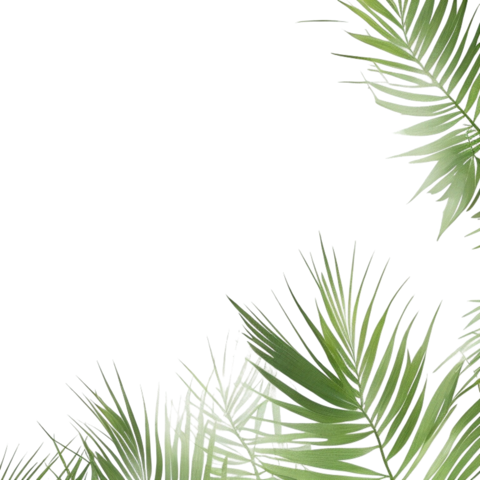 palm leaves background, palm leaves border, green leaves background ...