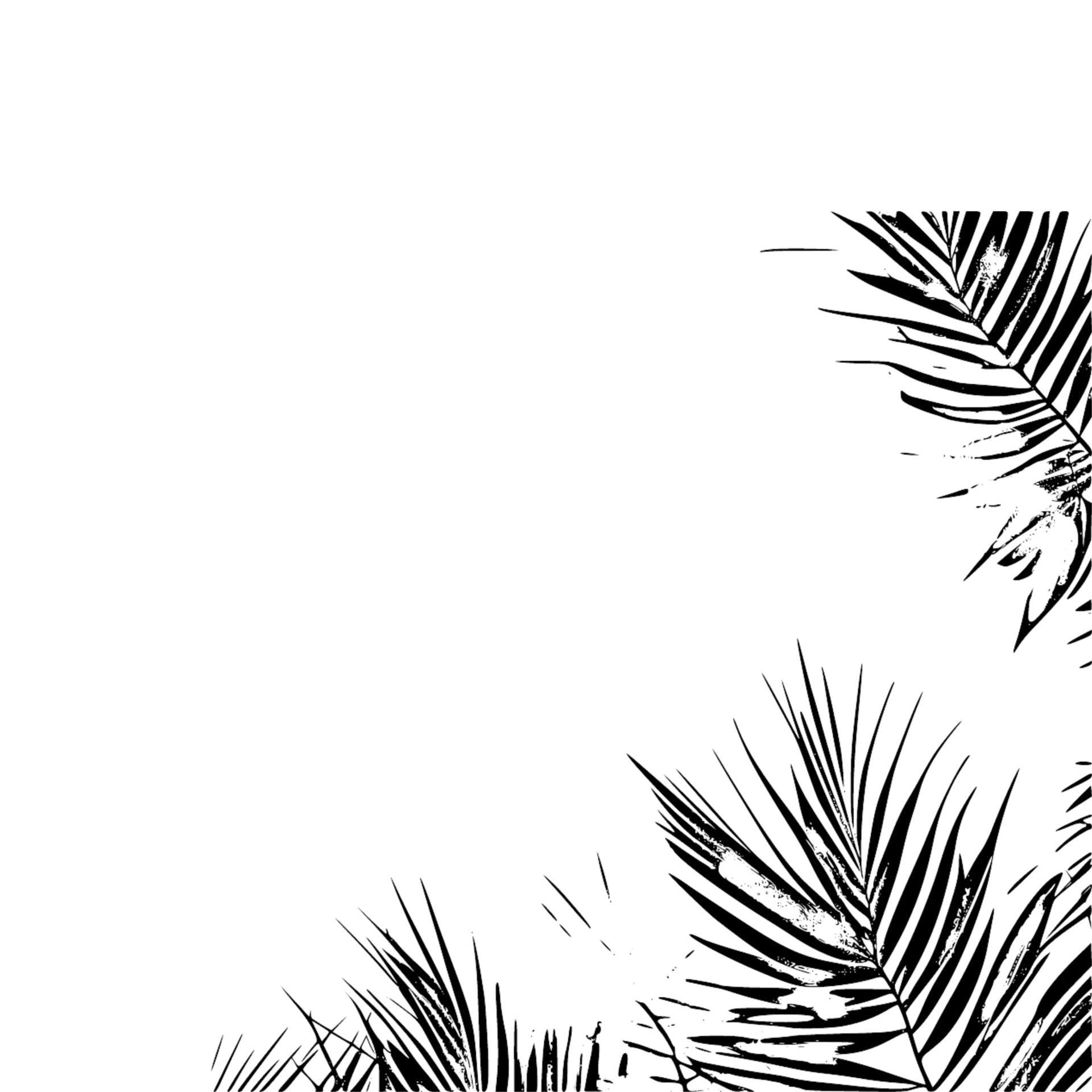 palm-leaves-black-outline-border-with-transparent-background-palm-tree