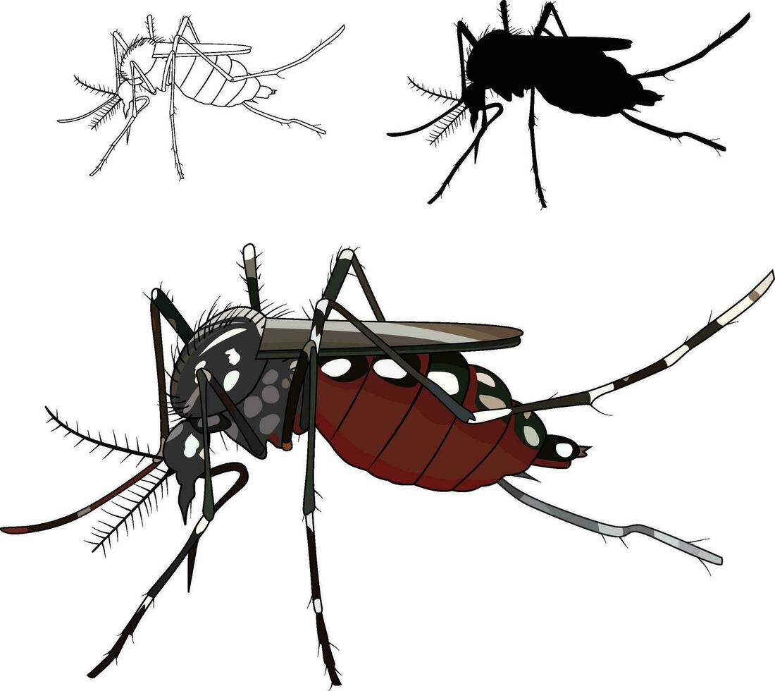 Mosquito sting sucking blood vector image