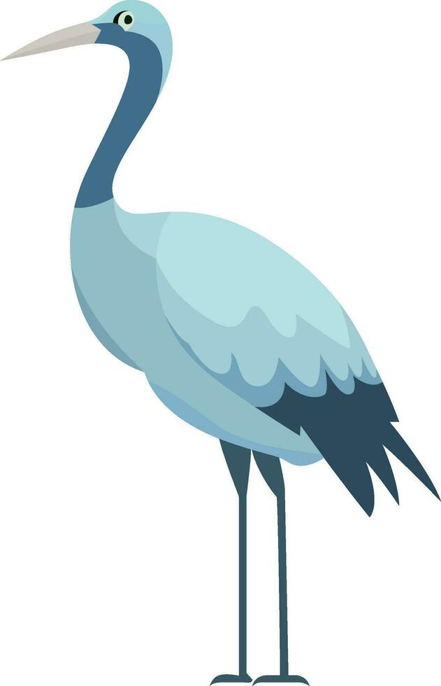 Blue crane bird flat style vector illustration, Stanley or paradise crane, Anthropoides paradiseus, the national bird of South Africa vector image