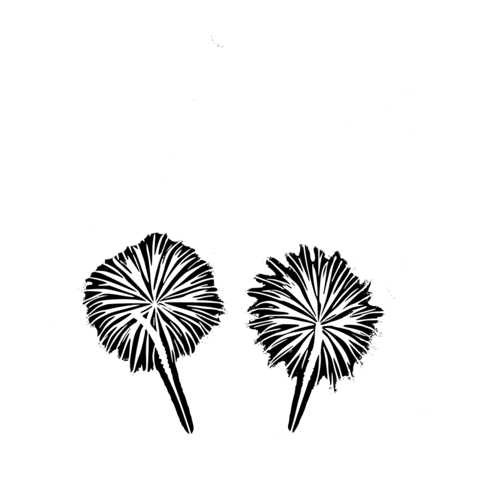 Isolated firecrackers black outline sketch , firecrackers black clipart ...