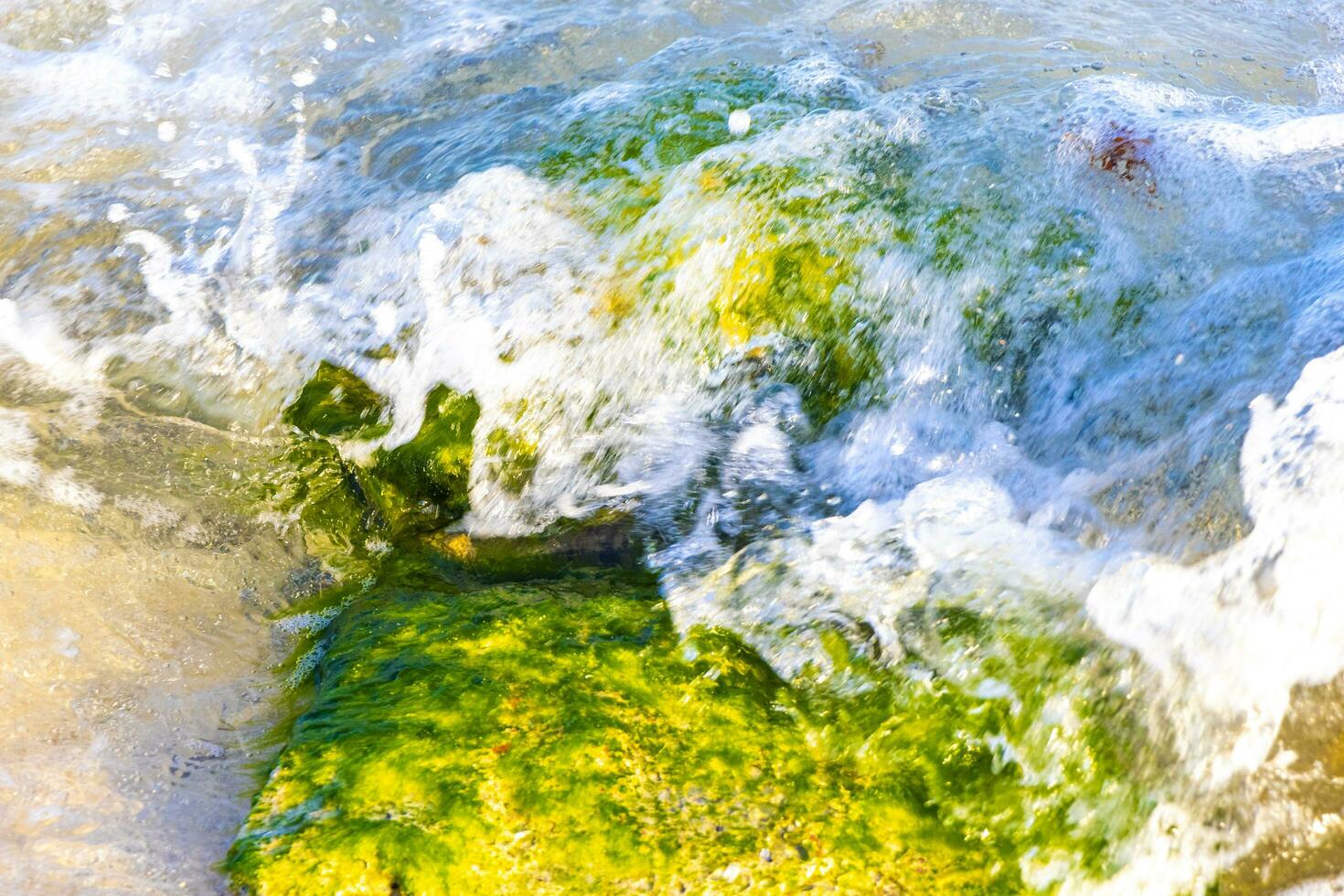 piedras rocas corales turquesa verde azul agua playa mexico. foto