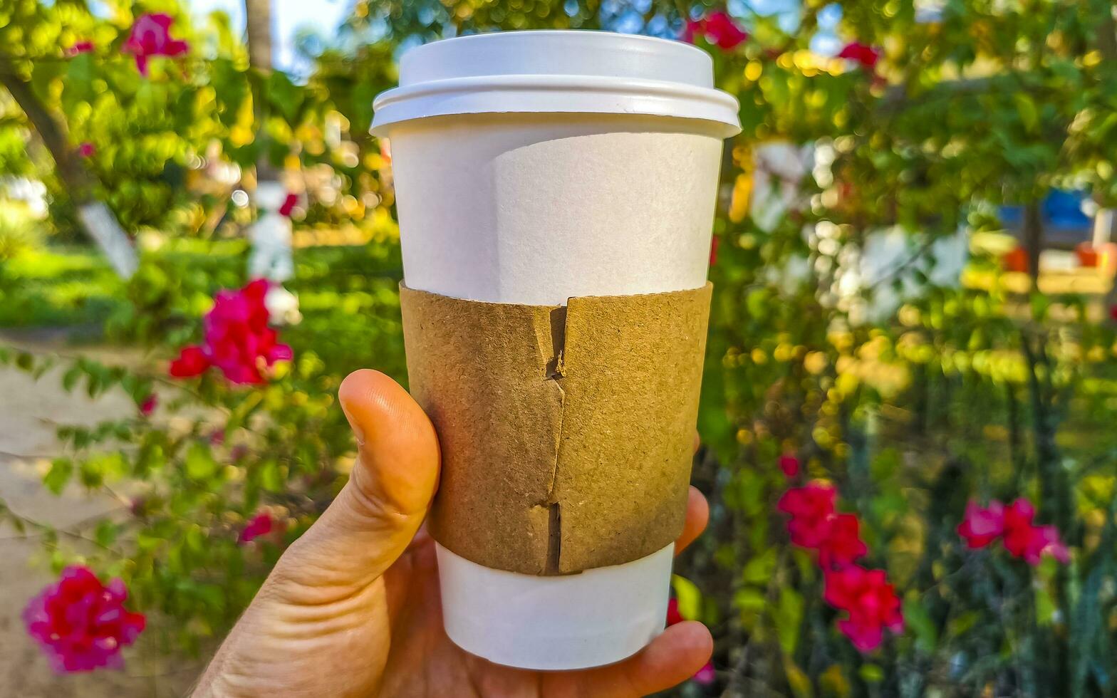 Coffee to go mug in the tropical maxican nature place. photo