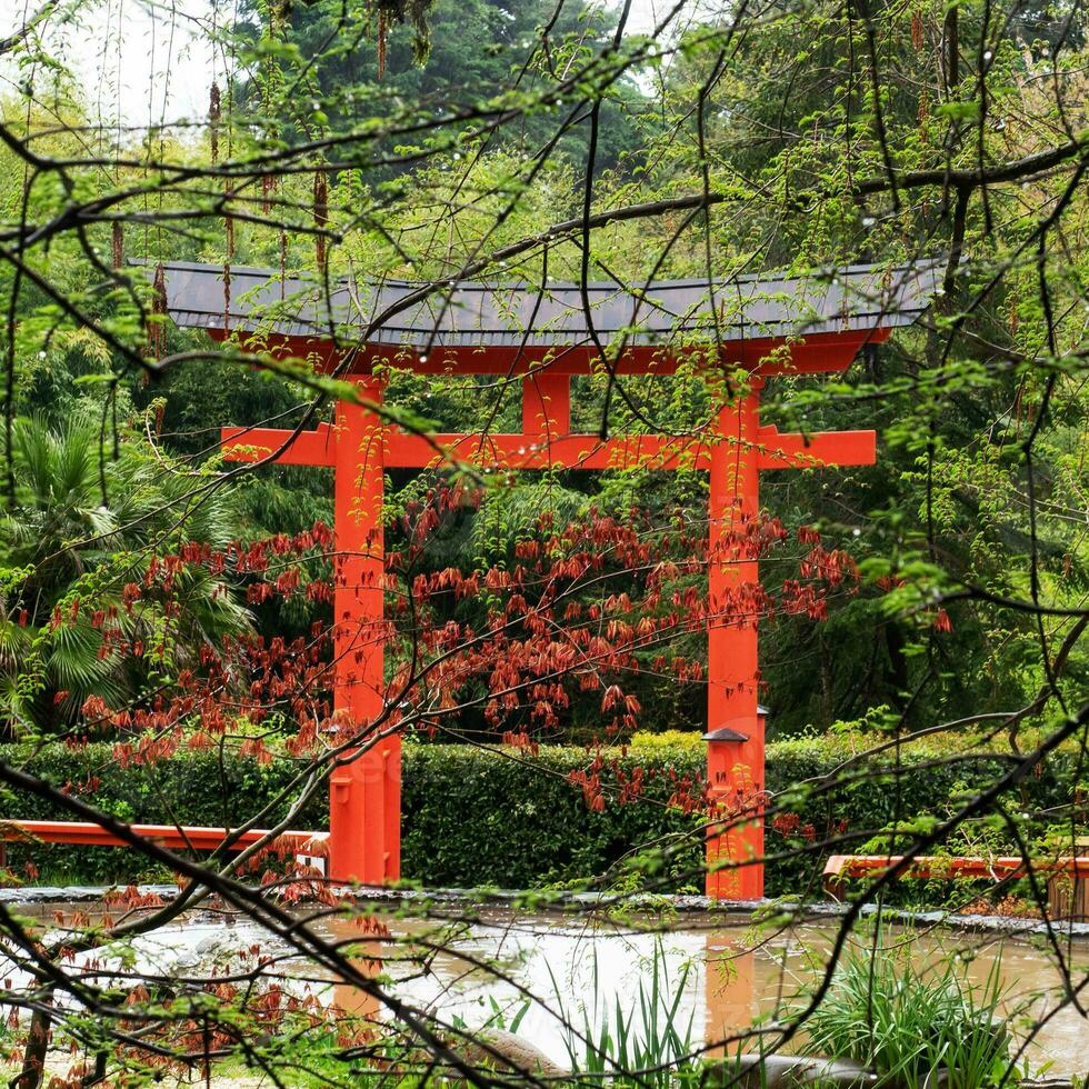 Decorative Japanese style gates in the park, Arboretum Sochi Russia. Background tree branches with young spring foliage in the rain. The landscape, tropical climate photo