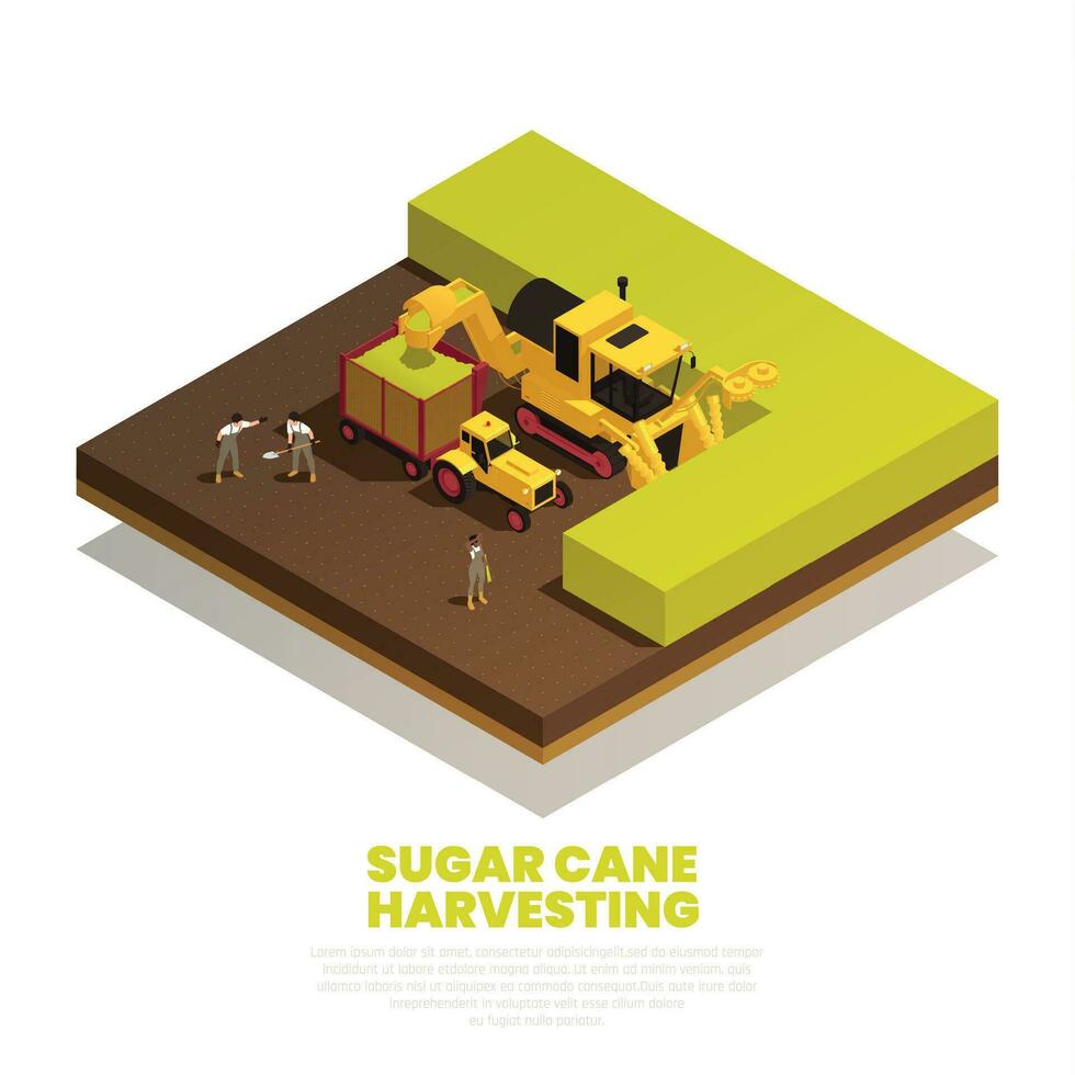 Sugar Cane Harvesting Isometric Composition vector