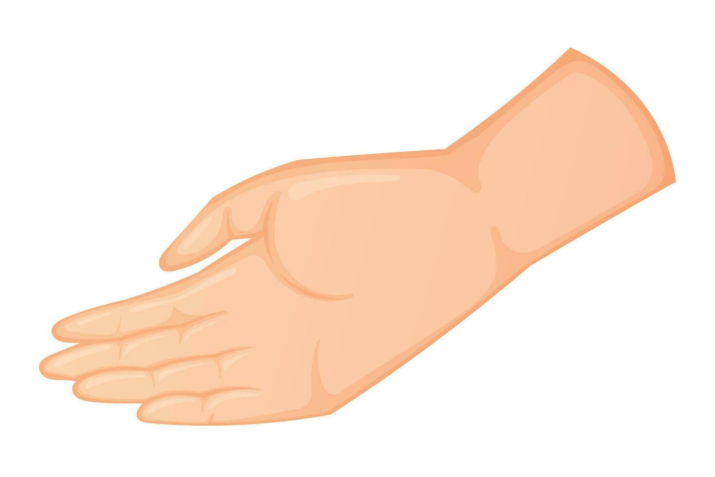 Vector isolated cartoon human hand turned palm up.