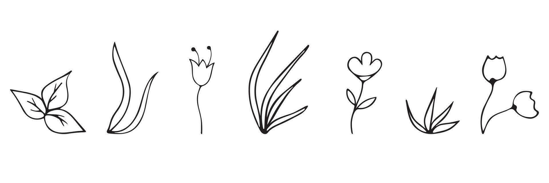 Vector black and white graphic illustration of flowers, grass and leaves on a white background