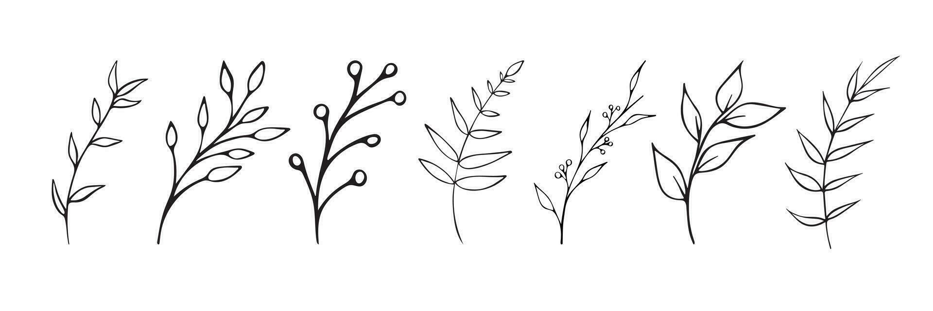 Vector black and white graphic illustration of branches on a white background.