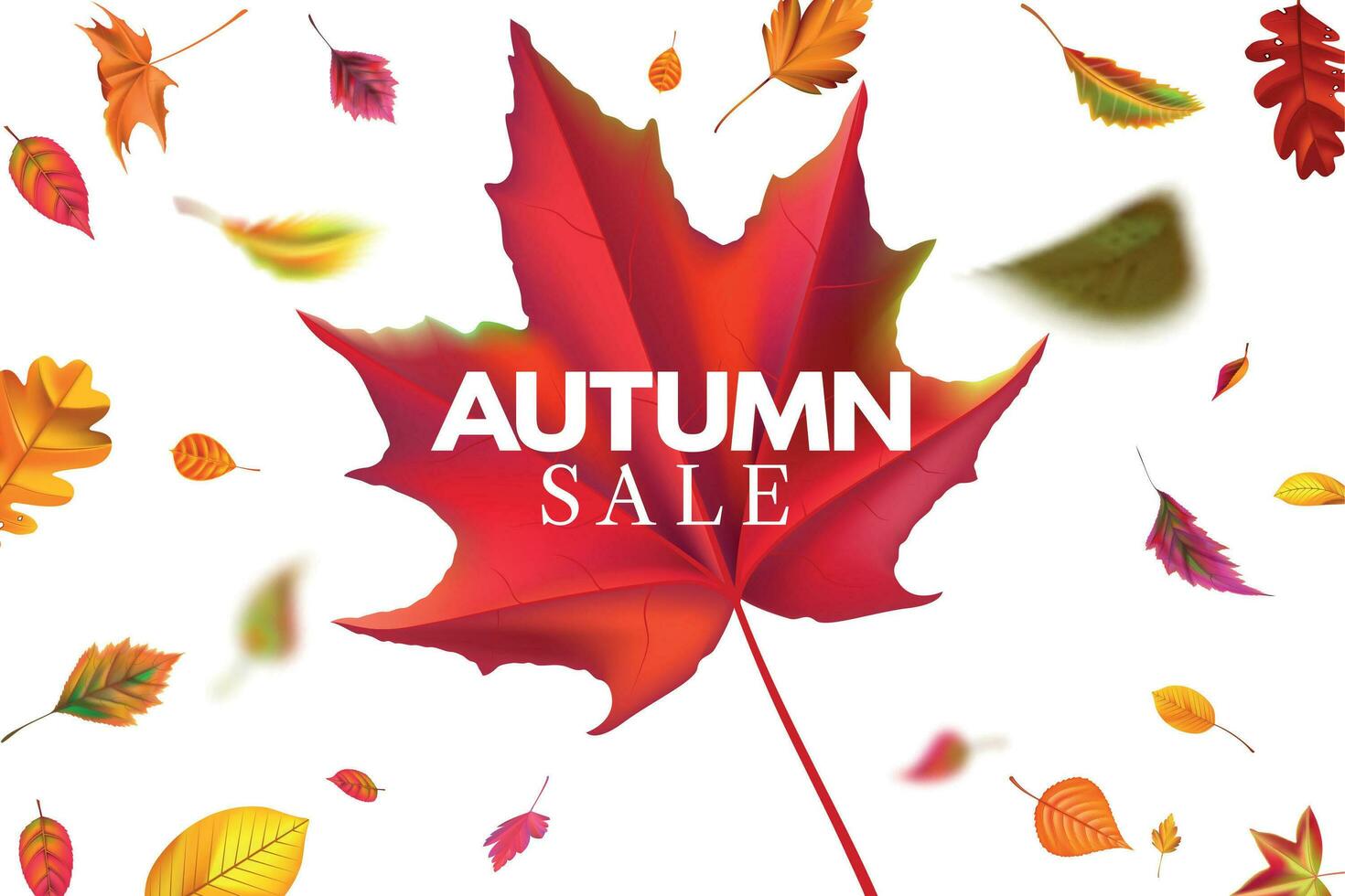 Autumn sale banner. Season sales template with falling leaves, fallen leaf discount and autumnal flyer background vector illustration