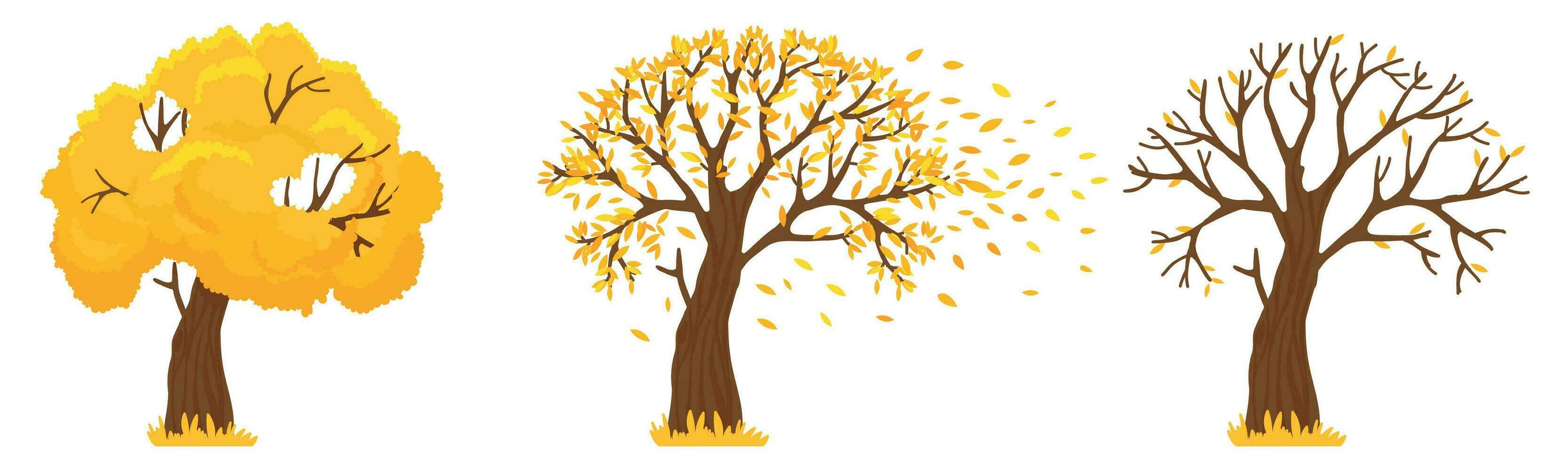 Autumn tree. Yellow leaves fall, trees with fallen leaves and orange leafs fly vector illustration