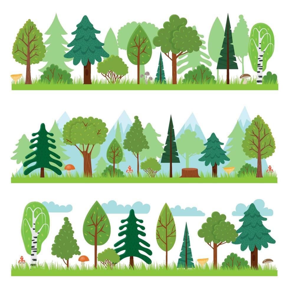 Forest landscapes. Woodland nature trees panorama, forests environment and pine tree vector illustration