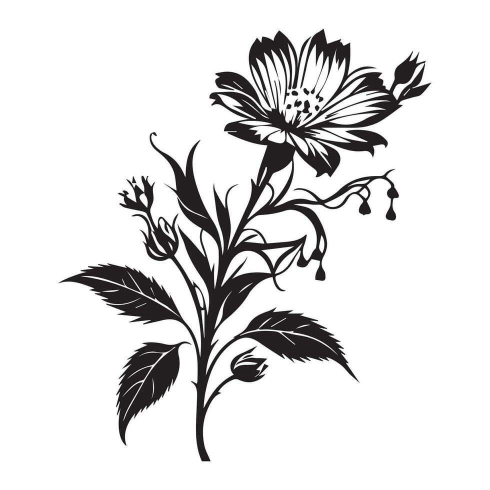 Floral Flower Vector Line art Illustration, Floral Flower vector Silhouette, Flower vector. Floral Pattern