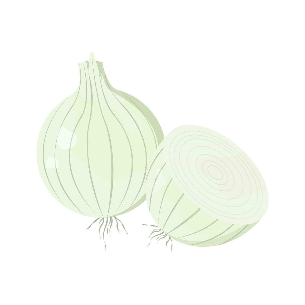 White sweet onions vector