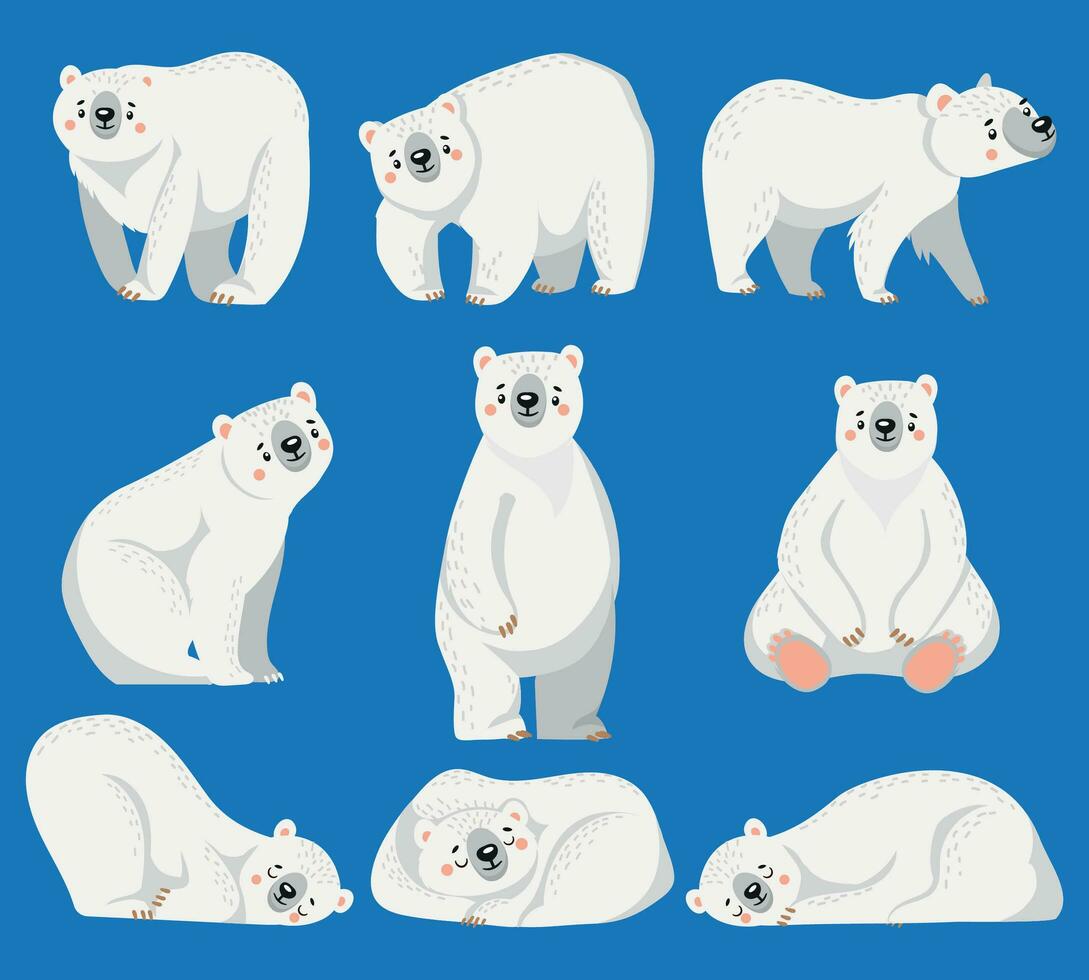 Cartoon polar bear. White bears, arctic wild animal and snow bear isolated vector illustration