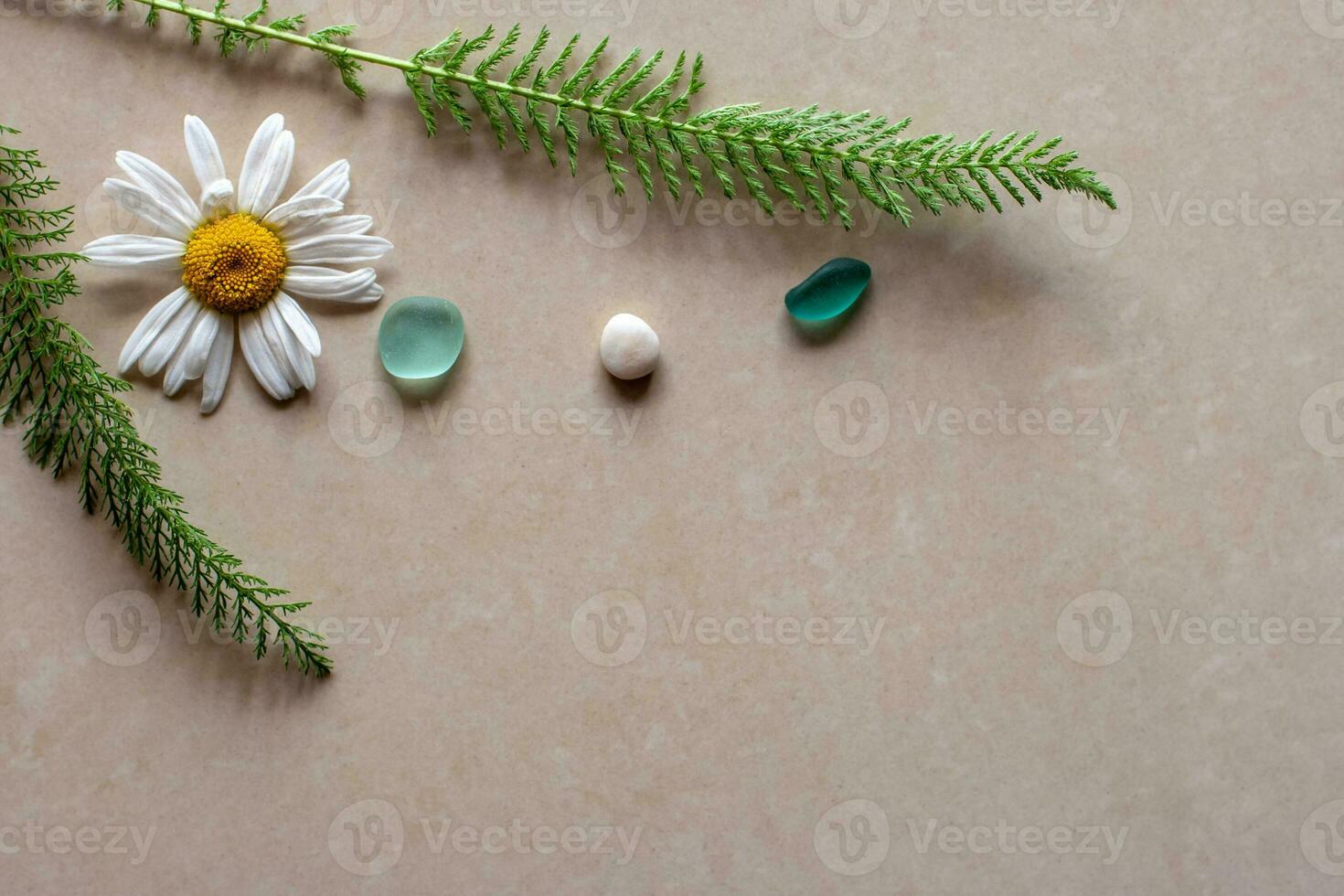 Flat view. Two branches in the shape of a Christmas tree and between them a daisy and green glass with white pebbles. Background brown ceramic tile. There is a place for text. photo