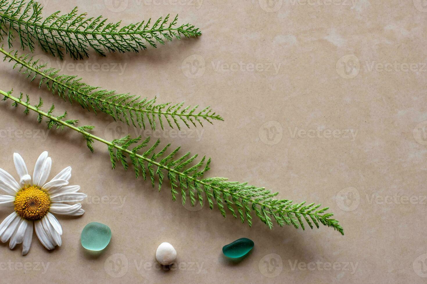 Flat view. Three green sprigs of a plant with chamomile and stones. Background brown ceramic tile. There is a place for text. photo