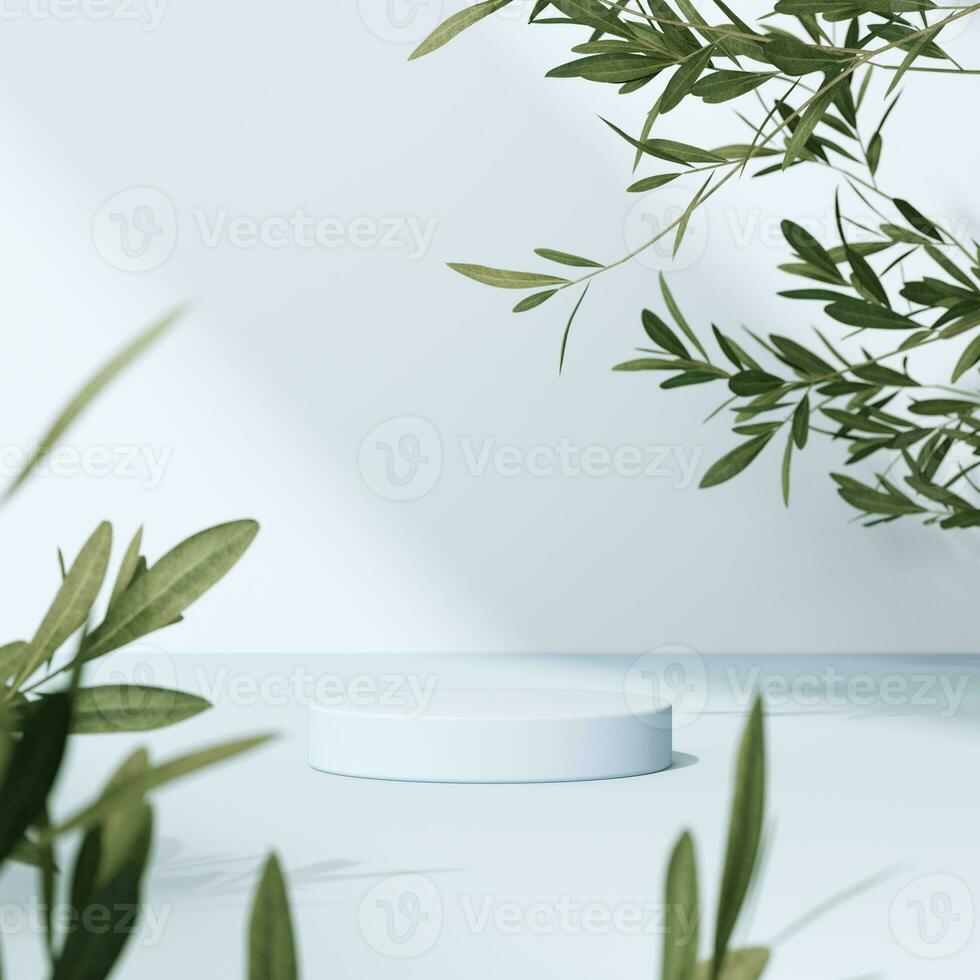 3D rendering Mock up greenery podium for product design, minimal display. shadow overlay. photo