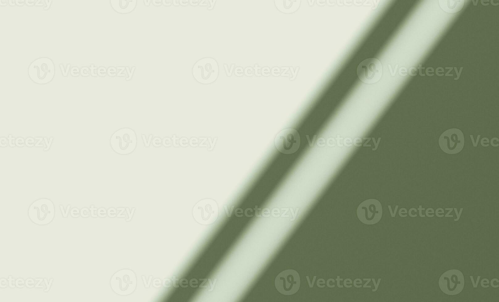 3d rendering, shadow overlay effect, greenery mock up. photo