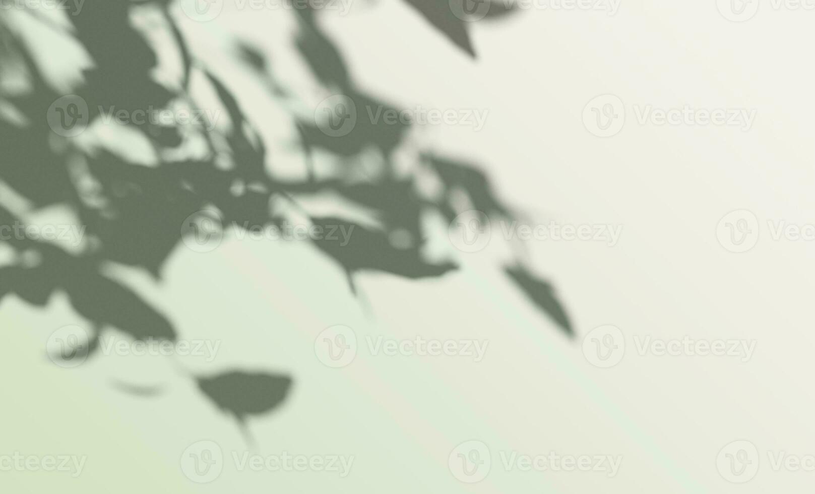 3d rendering, shadow overlay effect, greenery mock up. photo