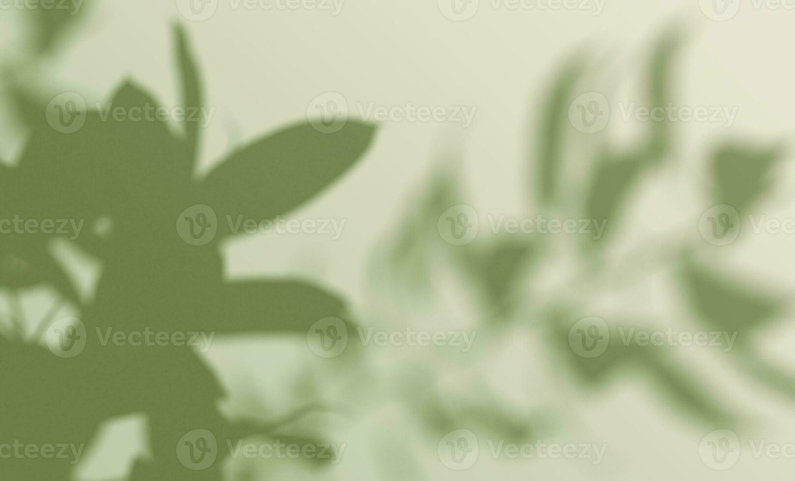 3d rendering, shadow overlay effect, greenery mock up. photo