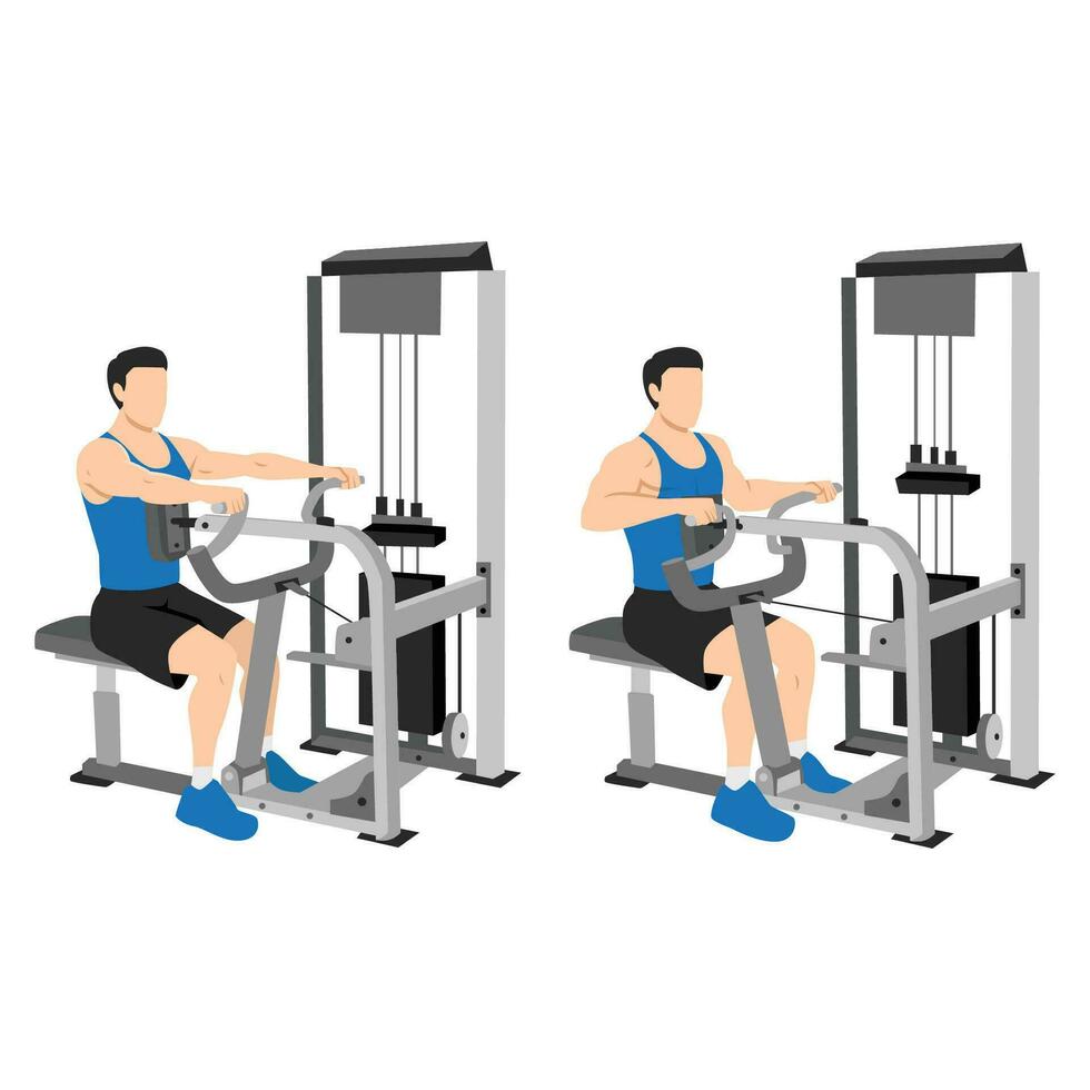 Man doing seated back row machine exercise. vector