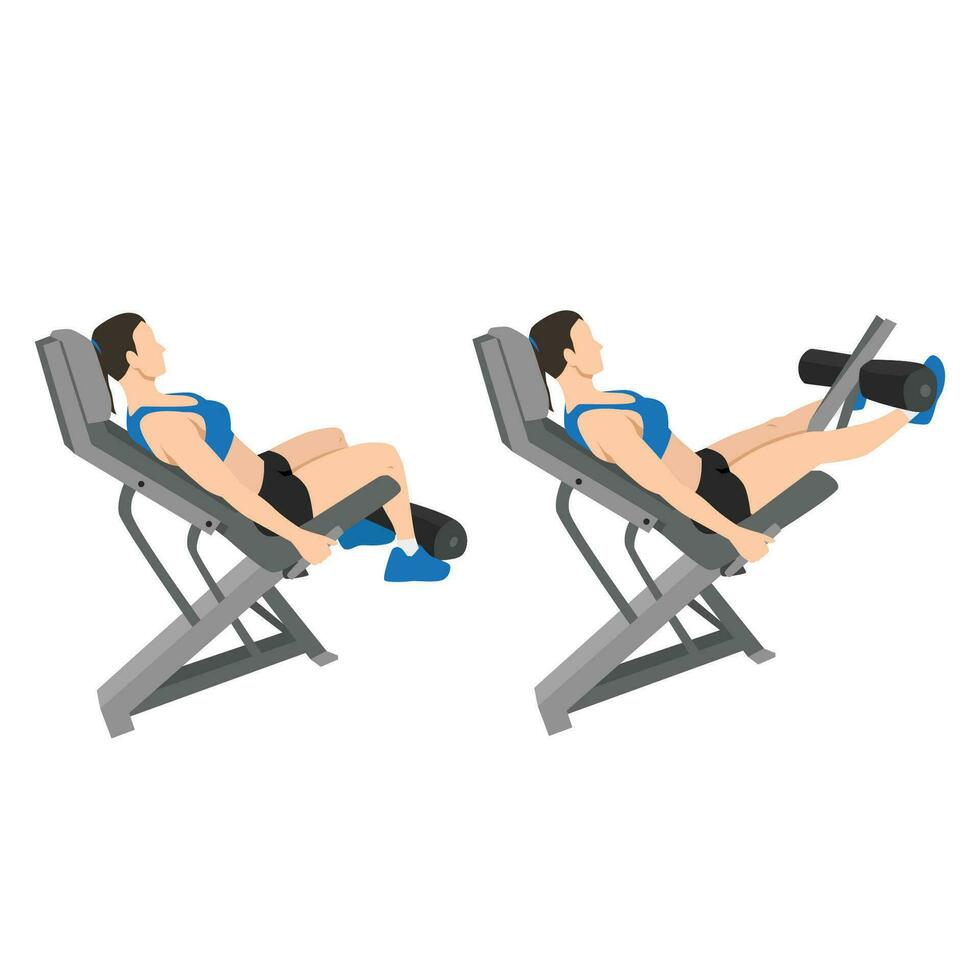Woman doing seated machine leg extensions exercise. vector