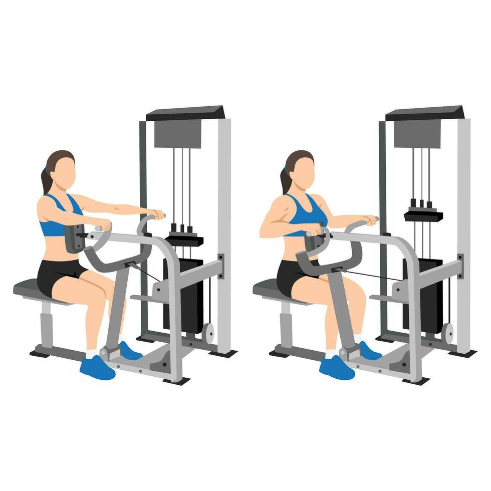 Woman doing seated back row machine exercise. 24792950 Vector Art at ...