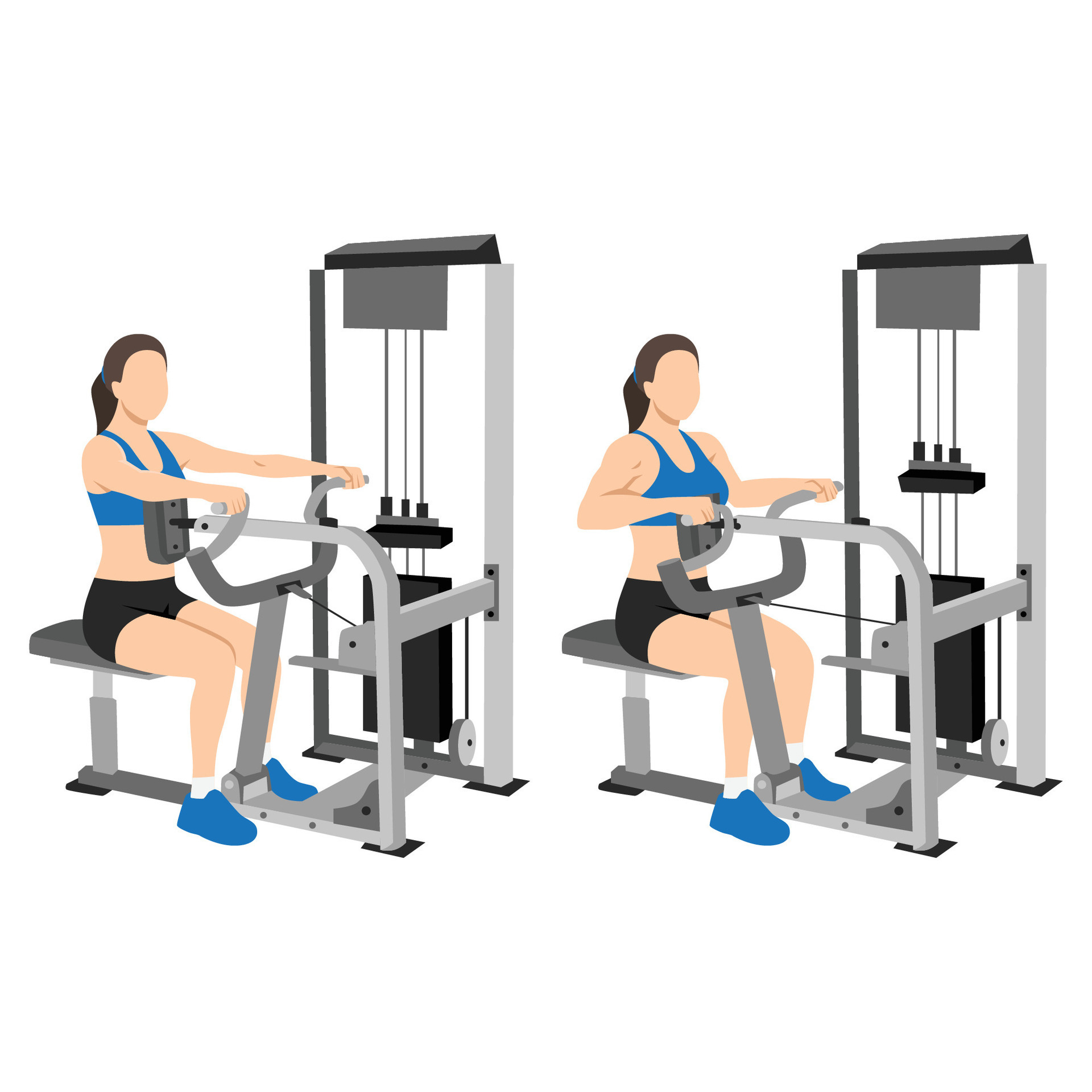 Woman doing seated back row machine exercise. 24792950 Vector Art