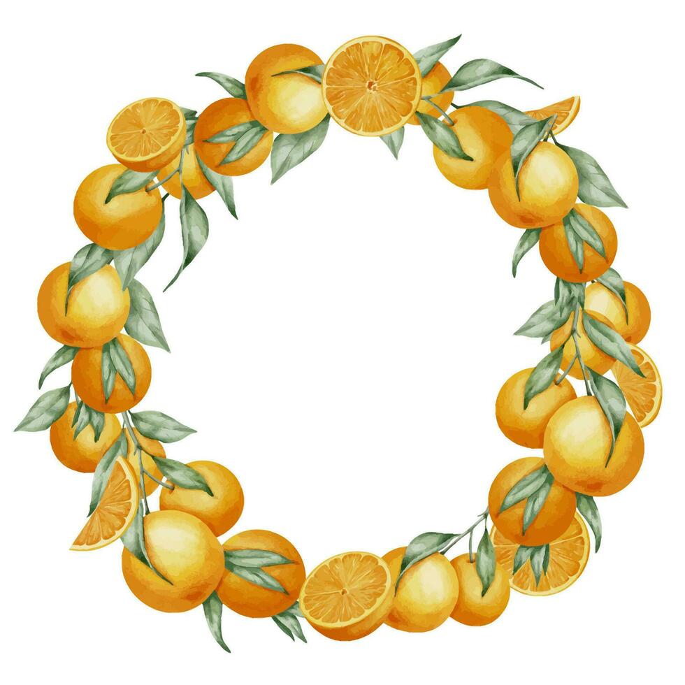 Wreath with Orange Fruits. Hand drawn watercolor illustration of circular Frame with citrus food and green leaves on white isolated background. Border with tropical mandarins for product icon or logo. vector