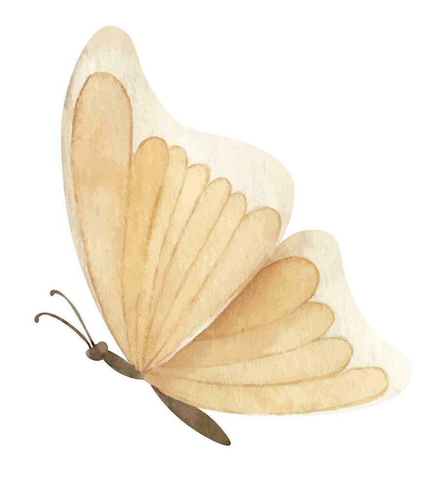 Watercolor beige Butterfly on white isolated background. Hand drawn illustration of flying yellow insect for greeting cards or wedding invitations. Colorful sketch with wings for icon or logo vector