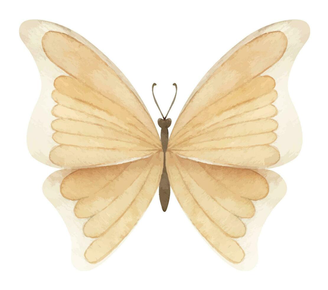 Watercolor beige Butterfly on white isolated background. Hand drawn illustration of flying yellow insect for greeting cards or wedding invitations. Colorful sketch with wings for icon or logo vector