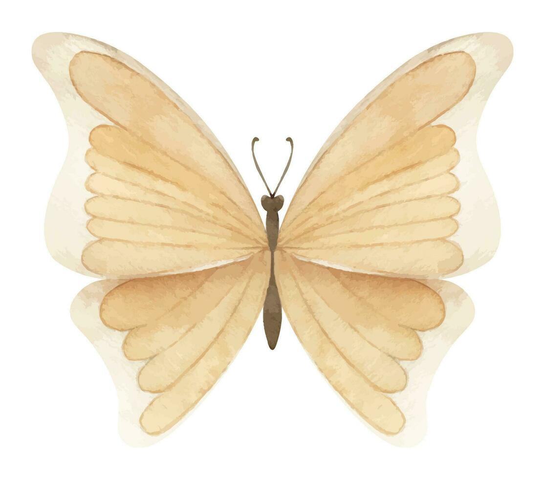 acuarela beige mariposa en blanco aislado antecedentes. mano dibujado ilustración de volador amarillo insecto para saludo tarjetas o Boda invitaciones vistoso bosquejo con alas para icono o logo vector