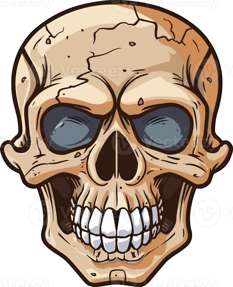 skull in retro vintage style. illustration png