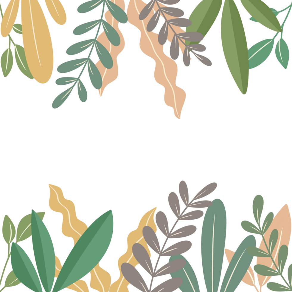 Flower leaves illustration for frame png