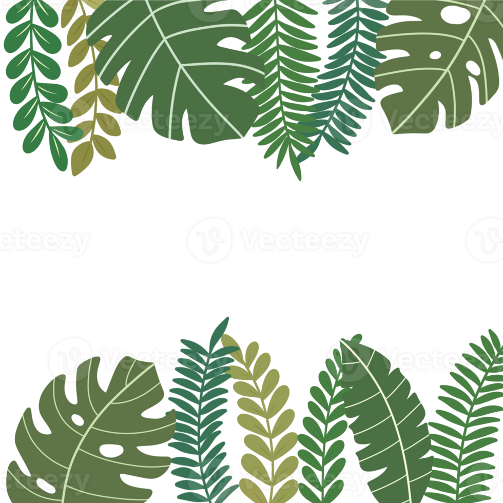 Tropical leaves frame 24796548 PNG Tropical leaves frame 24796548 PNG