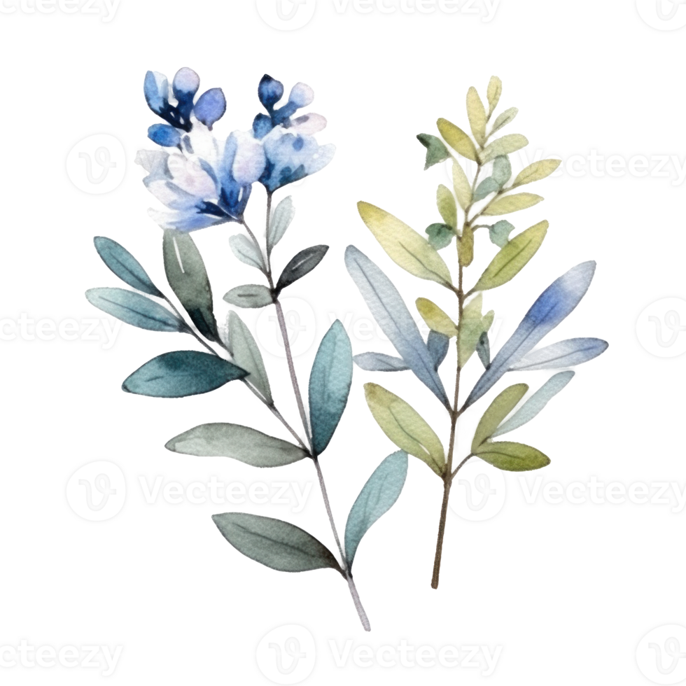 Cute botanical watercolor plant. Illustration png