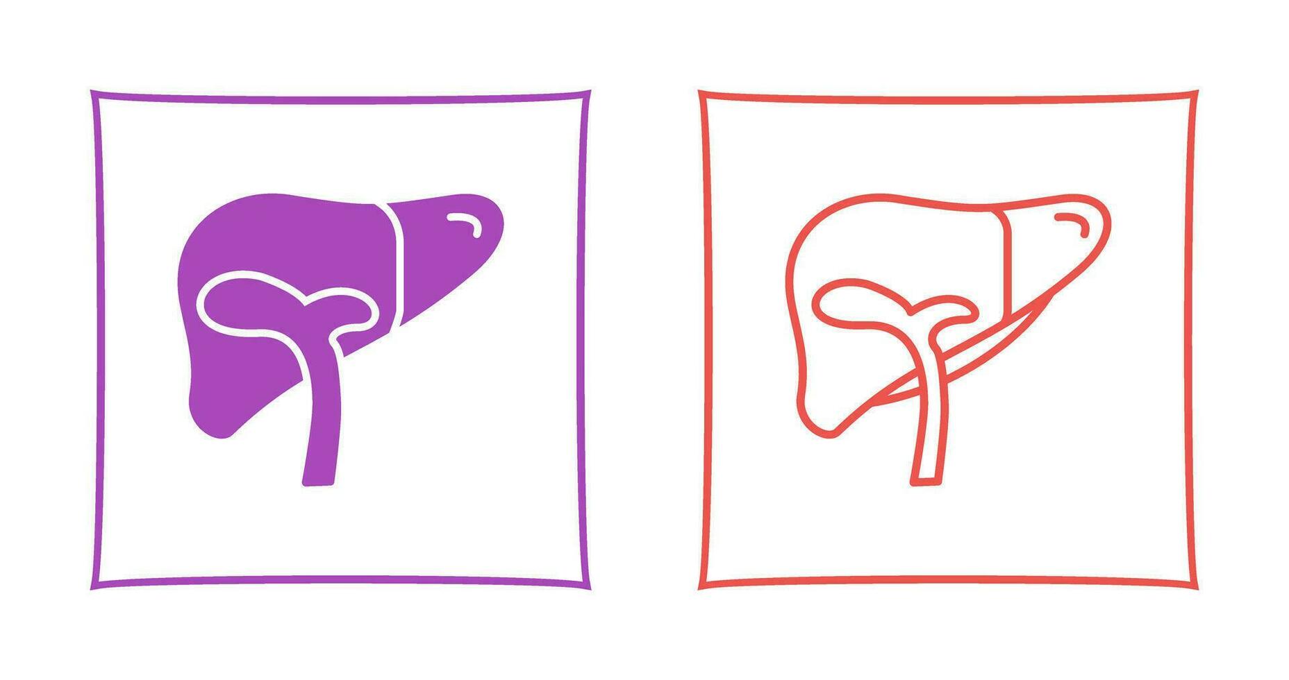 Liver Vector Icon