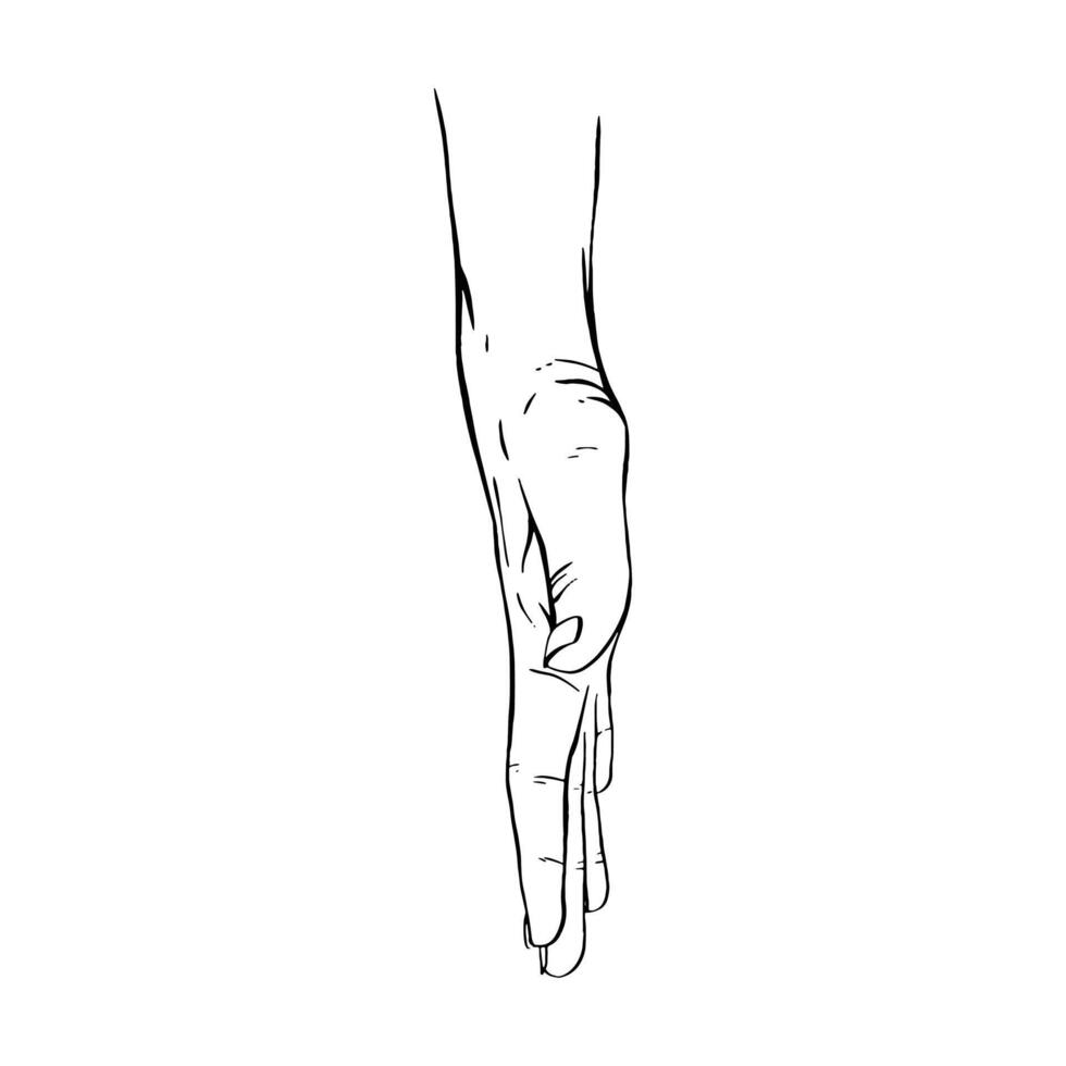 Hand drawn gesture sketch vector illustration line art