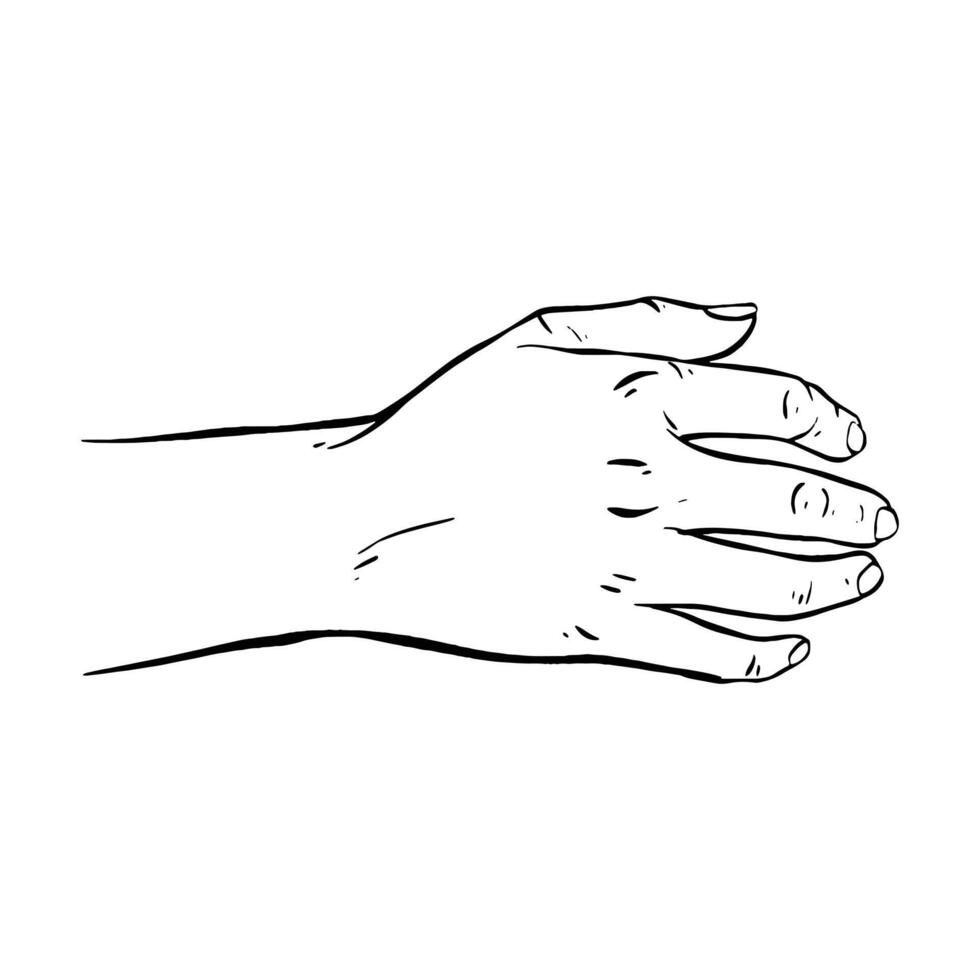 Hand drawn gesture sketch vector illustration line art