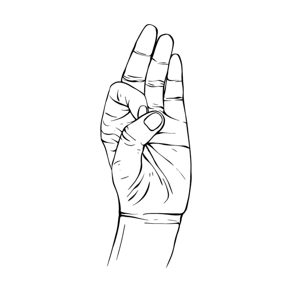 Hand drawn gesture sketch vector illustration line art