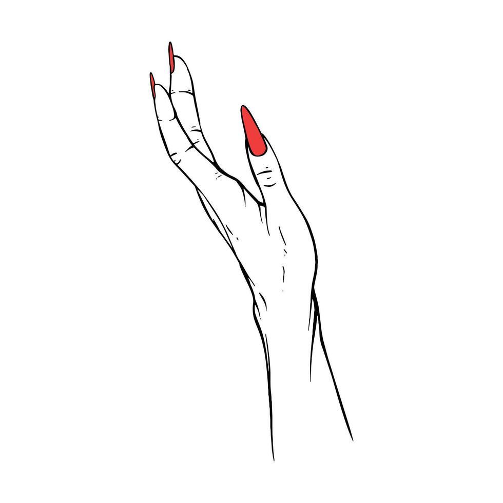 Long red nails hand drawn gesture sketch vector illustration line art