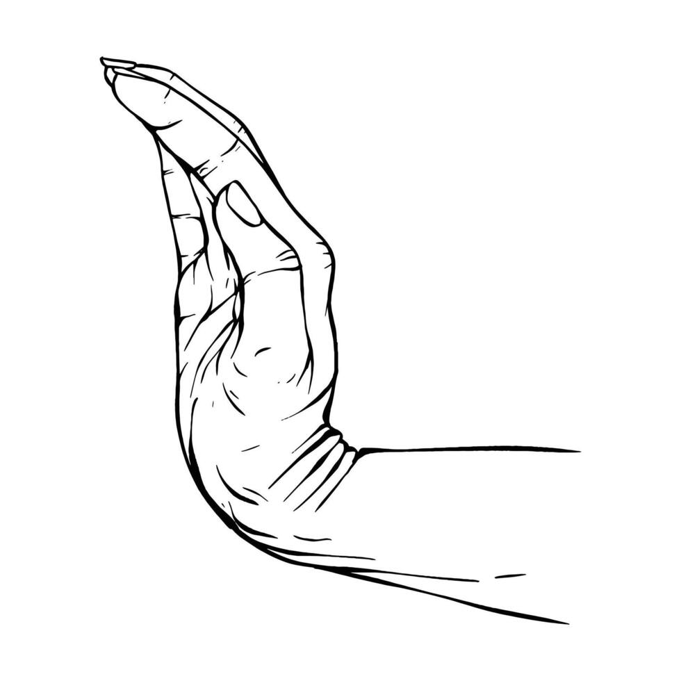 Hand drawn gesture sketch vector illustration line art