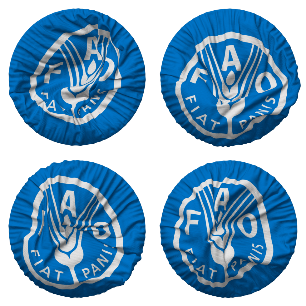 Food and Agriculture Organization, FAO Flag in Round Shape Isolated with Four Different Waving Style, Bump Texture, 3D Rendering png