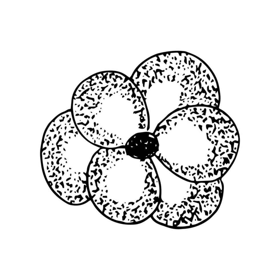 Hand drawn flower from petals. Black lines and dots. simple floral element vector