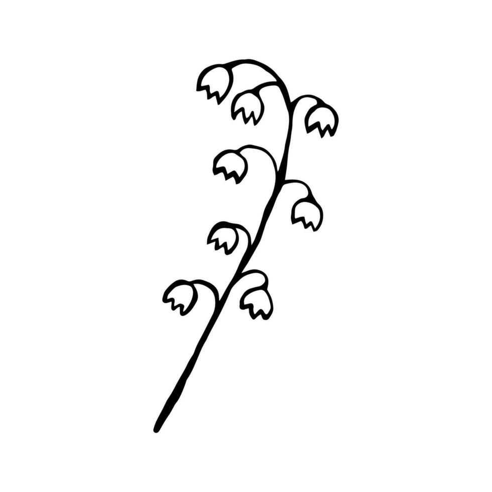 el lirio de el Valle rama es dibujado a mano con un transatlántico. ramita y flor silueta, soltero elemento aislado en blanco antecedentes vector