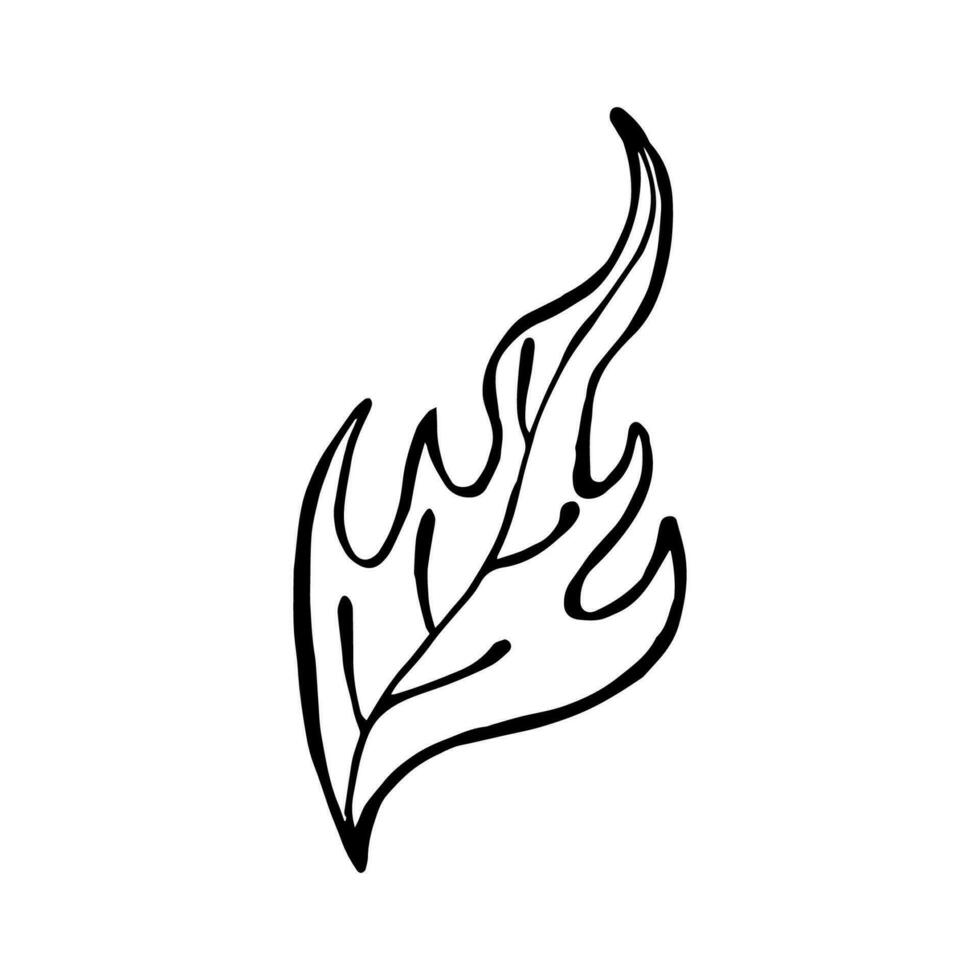 A simple leaf element. Silhouette on a white background. Isolated illustration hand drawn doodle vector