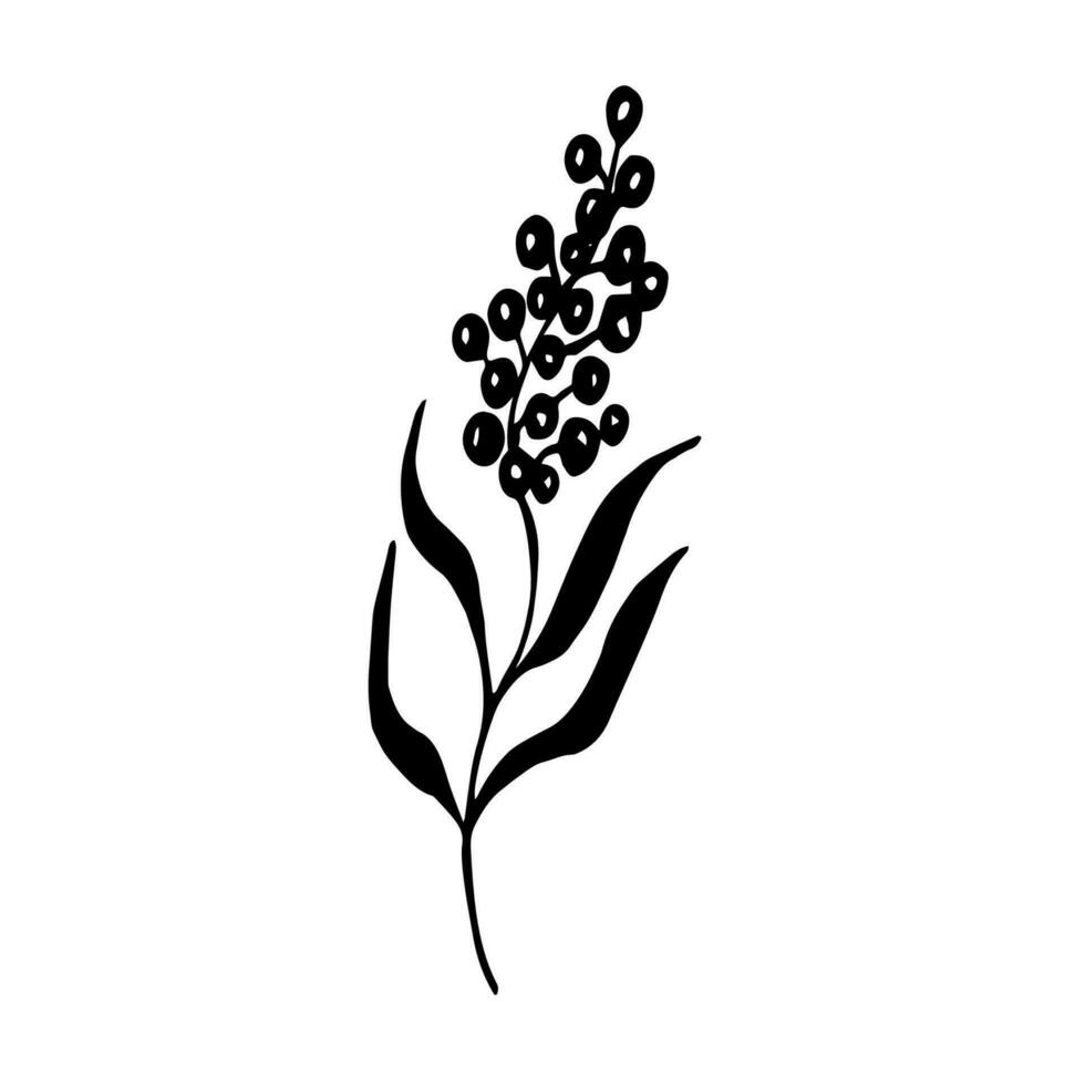 Twig silhouette grass with berries. Simple hand drawn illustration, doodle vector
