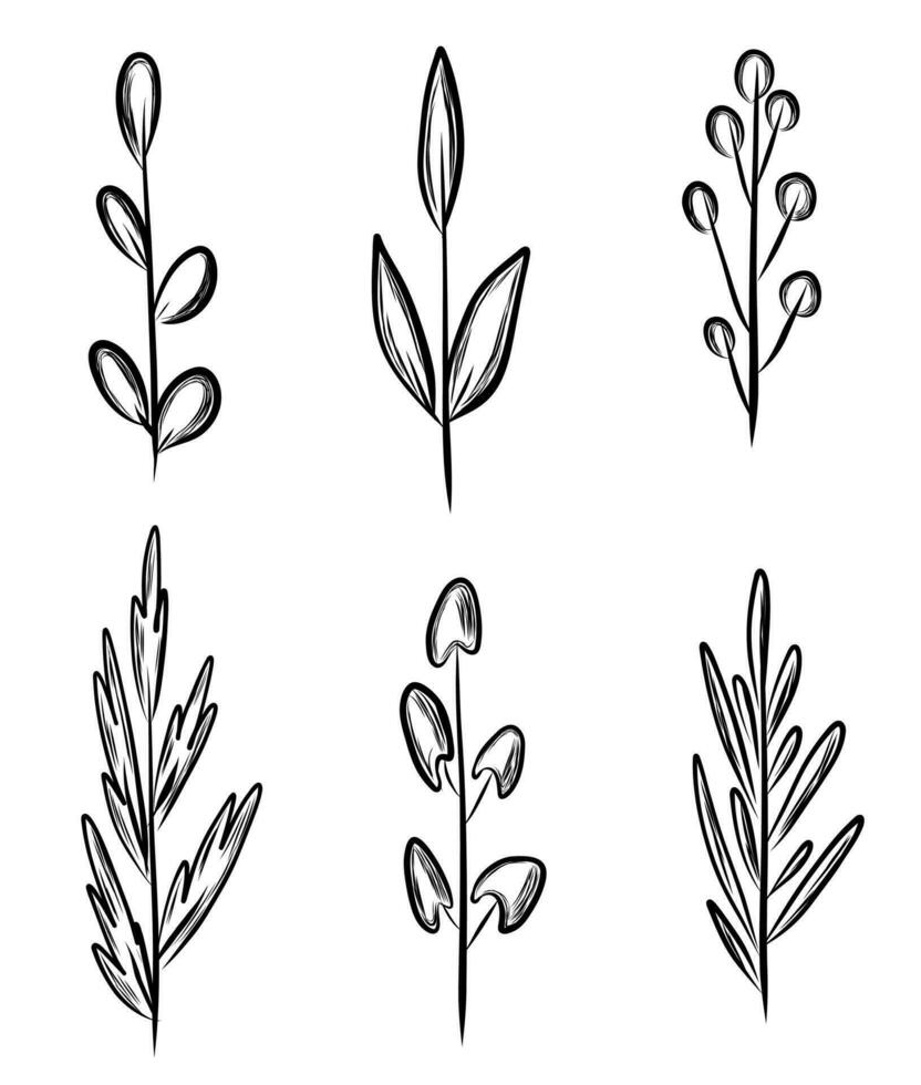 Set with branch in sketch style vector