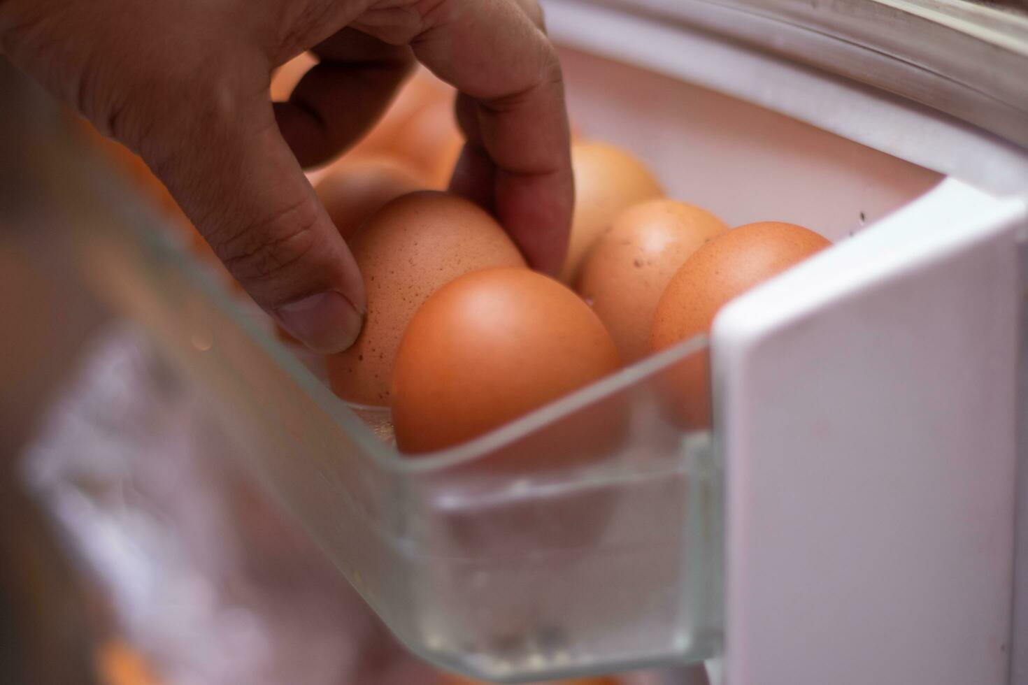 Grab the eggs in the fridge. photo