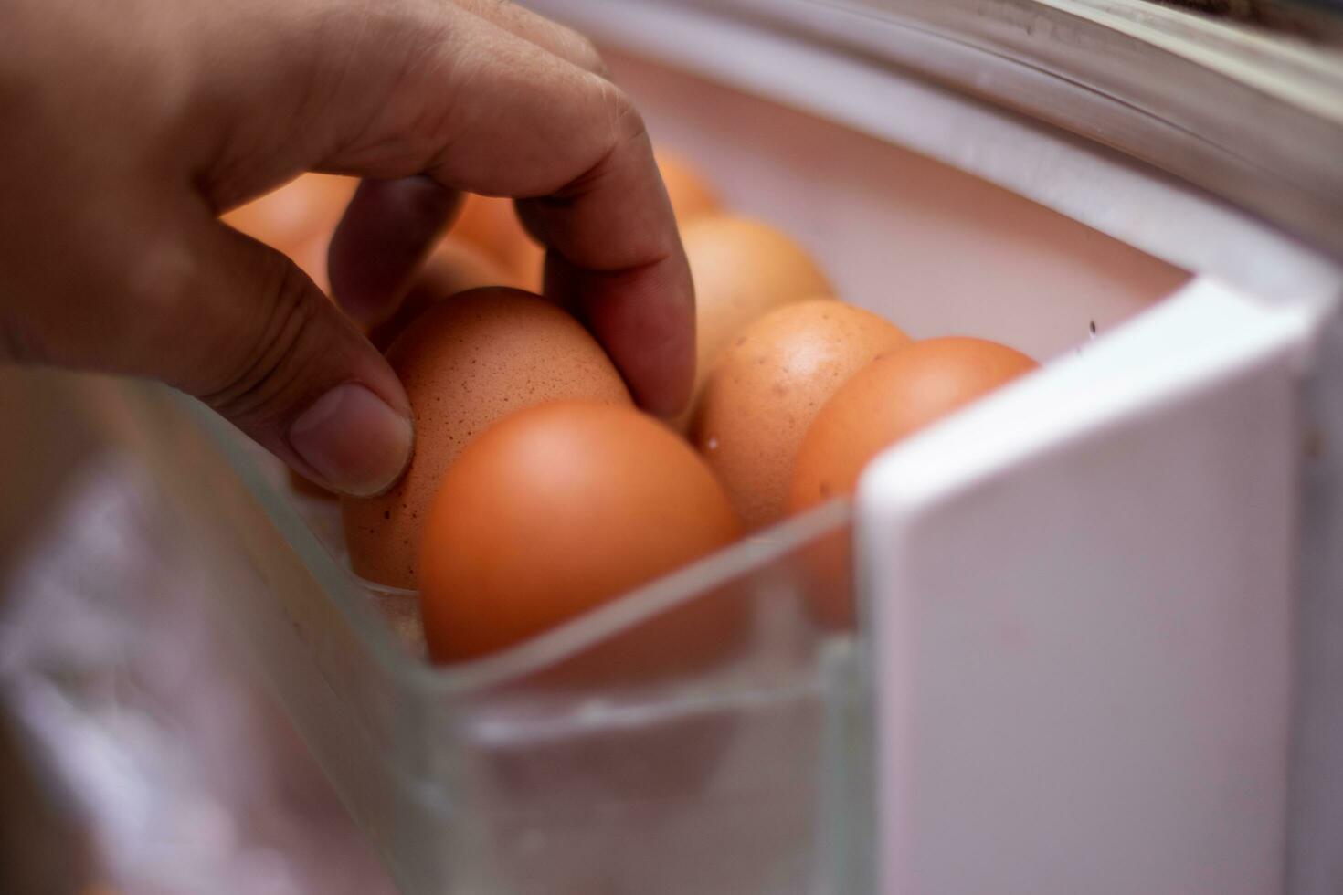 Grab the eggs in the fridge. photo